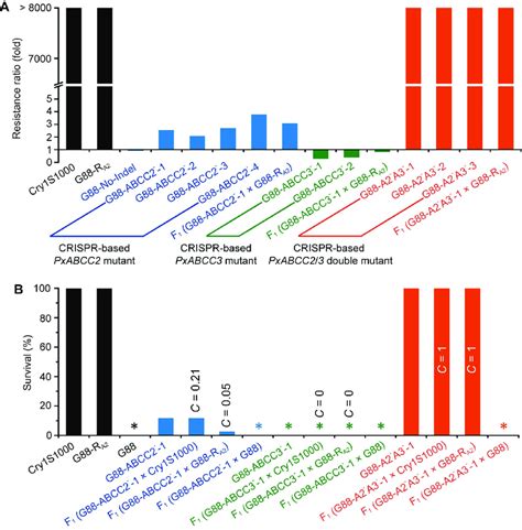 Response Of Different P Xylostella Strains To Cry Ac Protoxin A