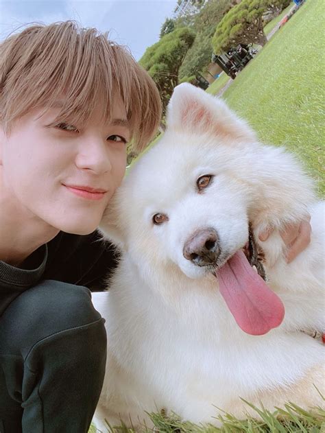 Jeno With Samoyed Di Nct Orang Lucu Anjing