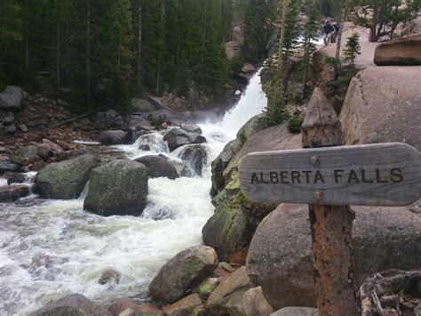 Alberta Falls Rocky Mountain National Park