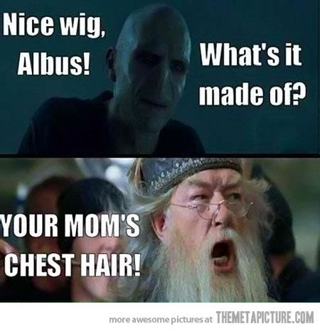 Voldemort Funny Quotes. QuotesGram