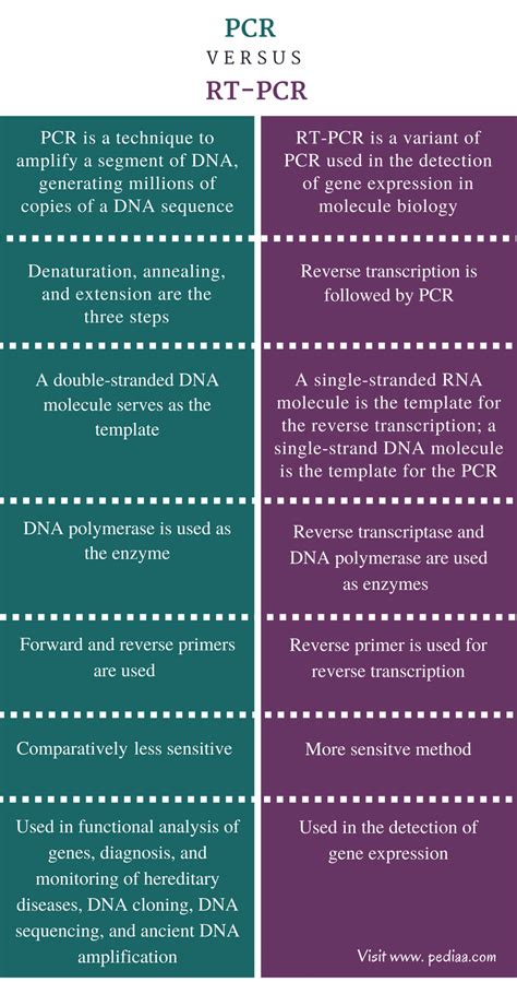 Difference Between PCR And RT PCR Definition Process Application