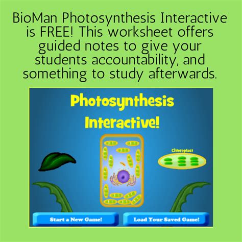 Photosynthesis Fill In The Blank Interactive Worksheet