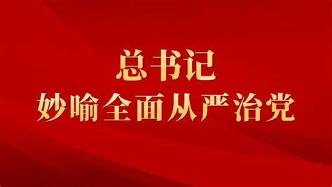 如何全面从严治党？总书记用了这些妙喻 周到上海