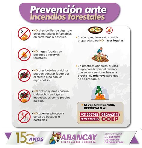 Mpa Recomendaciones Para Prevenir Incendios Forestales Noticias