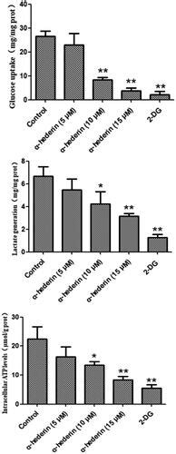 Full article α Hederin inhibits the growth of lung cancer A549 cells