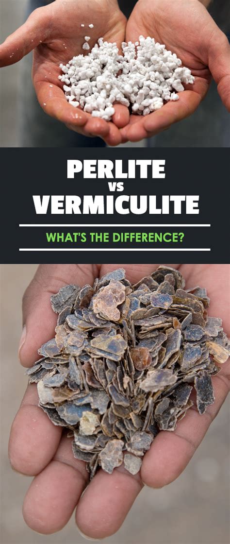 Perlite vs Vermiculite: What’s the Difference?