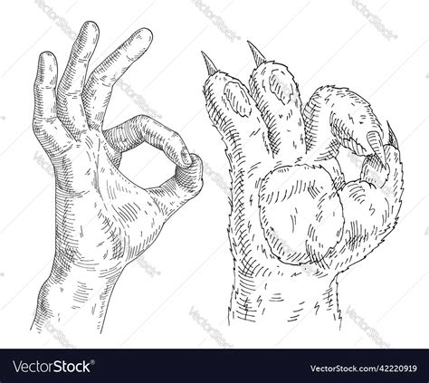 Cat Paw And Human Hand Sign Showing Okay Vector Image