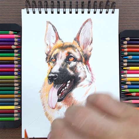 Arteza Colored Pencil Drawings A Detailed Guide To Creating Stunning