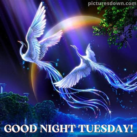 Good night tuesday image Firebird - picturesdown.com