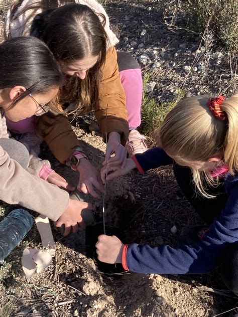 Dia de larbre 5é i 6é CEIP ISABEL LA CATÓLICA