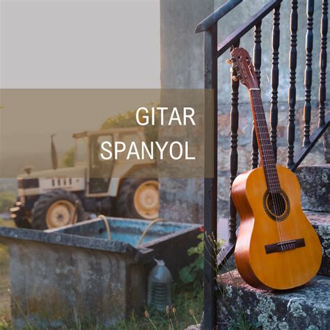 Gitar Spanyol Istilah Untuk Gitar Apa Citraintirama