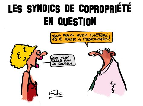 C Te Dor Immobilier Le Fonctionnement Des Syndics De Copropri T