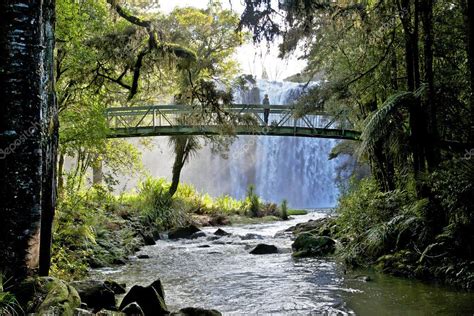 Whangarei Falls — Stock Photo © zambezi #9173793