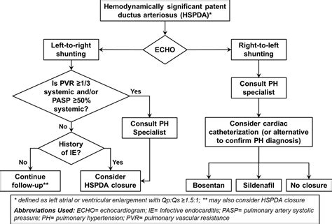 Patent Ductus Arteriosus Pathophysiology