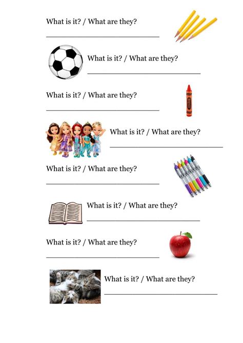 Questions Online Worksheet For Elementary You Can Do The Exercises