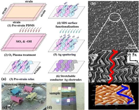 Fabrication Process And Morphology Characterizations Of The Stretchable