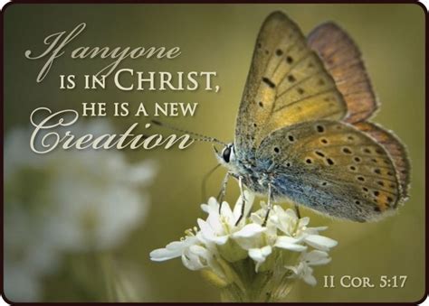 creation pictures   images  facebook tumblr