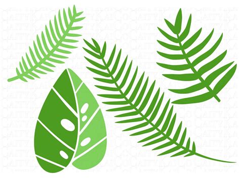 Tropical Leaves Svg Bundle Of 20 Tropical Leaf Svg Monstera Etsy