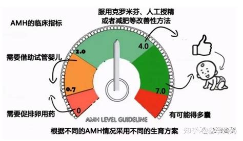 女性amh正常值范围是多少？ 教你看懂amh检查报告！ 知乎