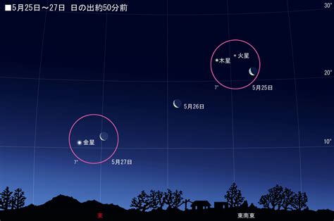 まだまだ続く明け方の惑星ショー：達人に訊け！：中日新聞web