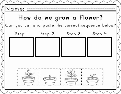 Sequence Of Events Free Worksheets