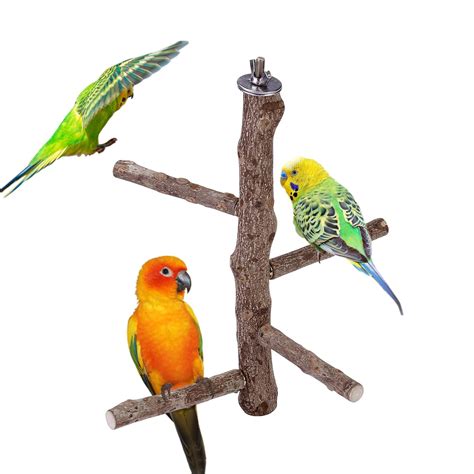 Mogoko Natural Wood Bird Perch Stand - Hanging Multi Branch Perch for ...