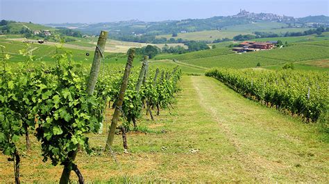 E Il Monferace Il Grignolino Del Monferrato Casalese Doc E DAsti Doc