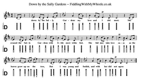 Down By The Sally Gardens Folk Song Tin Whistle Tab Tutorial Fiddling With My Whistle