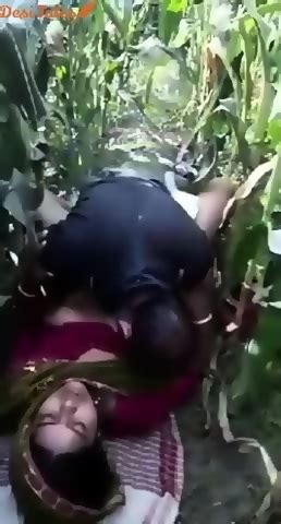 Hindi Publicplace Bihari Bhabhi Hot Outdoor Sex In The Fields With Village Sarpanch Village