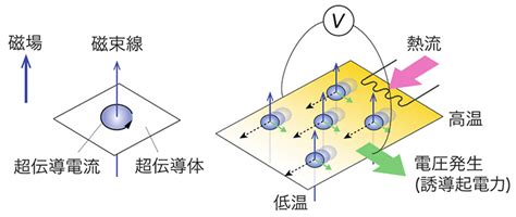 2次元超伝導体を貫く磁束線の量子的な液体状態を発見 超伝導デバイス開発の新たな指針に 東工大ニュース 東京工業大学