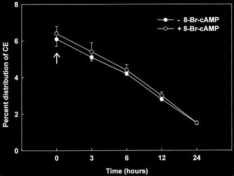 Effect of 8-Br-cAMP on cholesteryl ester (CE) hydrolysis. Normal ... 