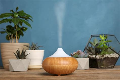 Best Humidifier For Plants In Gardener S Choice