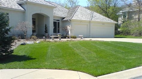 Gallery Diamond Cut Lawn Care