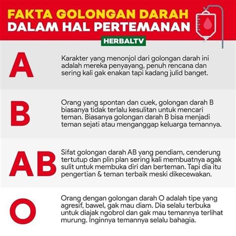 Fakta Karakter Dan Sifat Golongan Darah Ab