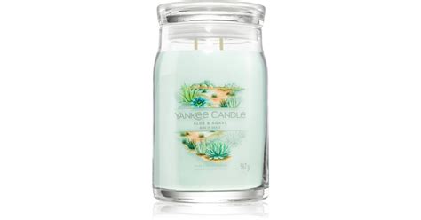 Yankee Candle Aloe Agave Candela Profumata Notino It