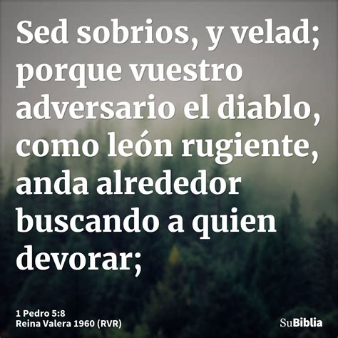 Pedro Biblia