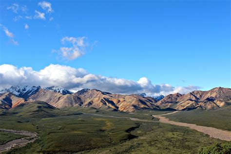 Road trip through Denali National Park - Road trippin' USA