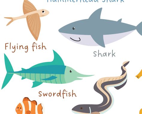 Fish Print Kids Educational Poster Classroom Poster Home - Etsy