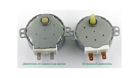 Не крутится тарелка в микроволновке: что делать, если перестал ...