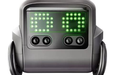 Boxer the robot prices slashed in Black Friday sale - CoventryLive