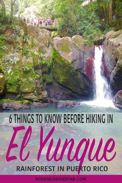 Hiking In El Yunque Rainforest 6 Things To Know Before You Go Nina