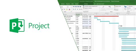 Microsoft Project Qué es y cuales son sus funcionalidades