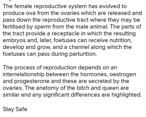 What Are The Similarities And Differences In The Reproductive System Of