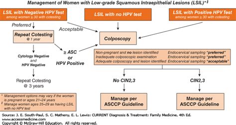 Acog Pap Guidelines 2019 Algorithm Carfareme 2019 2020