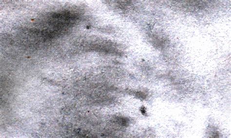 Premium Vector | Concrete texture black wallpaper rough background design