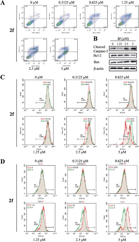 Effects Of 2f On Cell Apoptosis A Flow Cytometric Assay Of Apoptosis