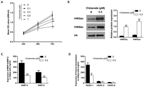 Effects Of Chidamide On Cell Viability And Levels Of Mmps And Histone