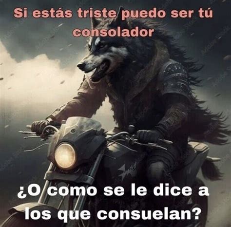 Top memes de Lobo Solitario en español Memedroid