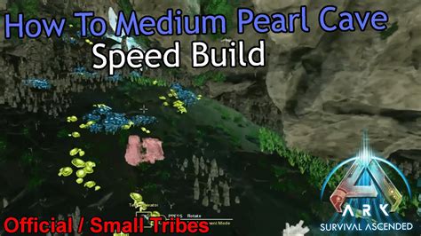 How To Build A Medium Pearl Cave Ark Survival Ascended PVP Speed