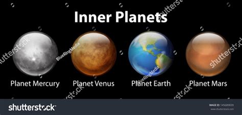 Vektor Stok Illustration Showing Inner Planets Solar System Tanpa Royalti 145689839 Shutterstock